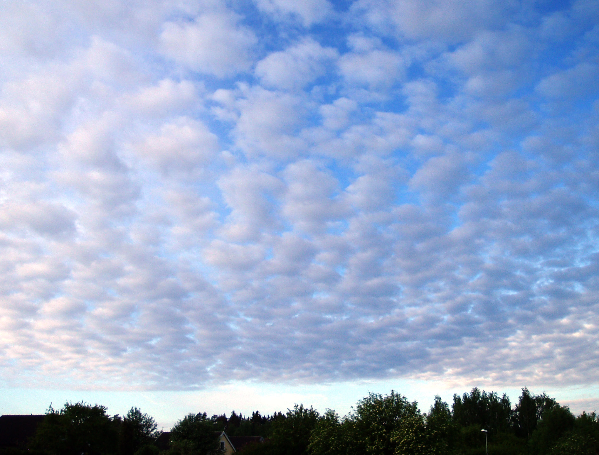 Altocumulus wolken