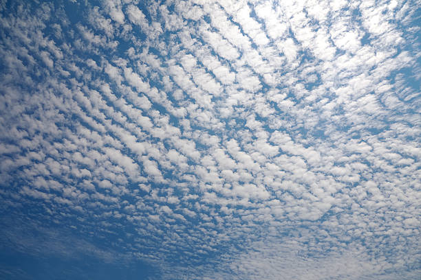 Cirrocumulus wolken