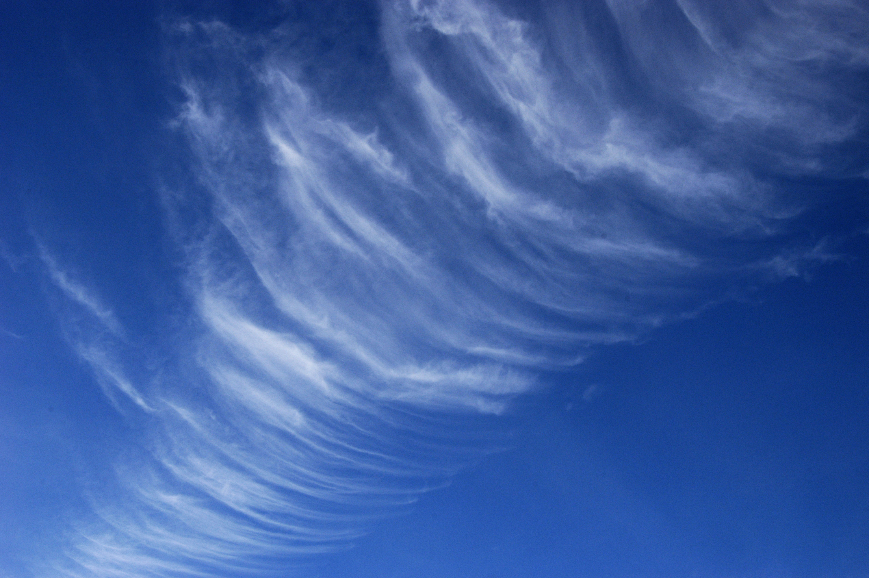 Cirrus wolken